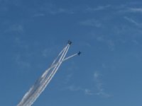 2004nyuta100.jpg