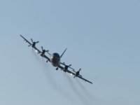 2004nyuta119.jpg
