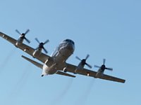 2004nyuta120.jpg